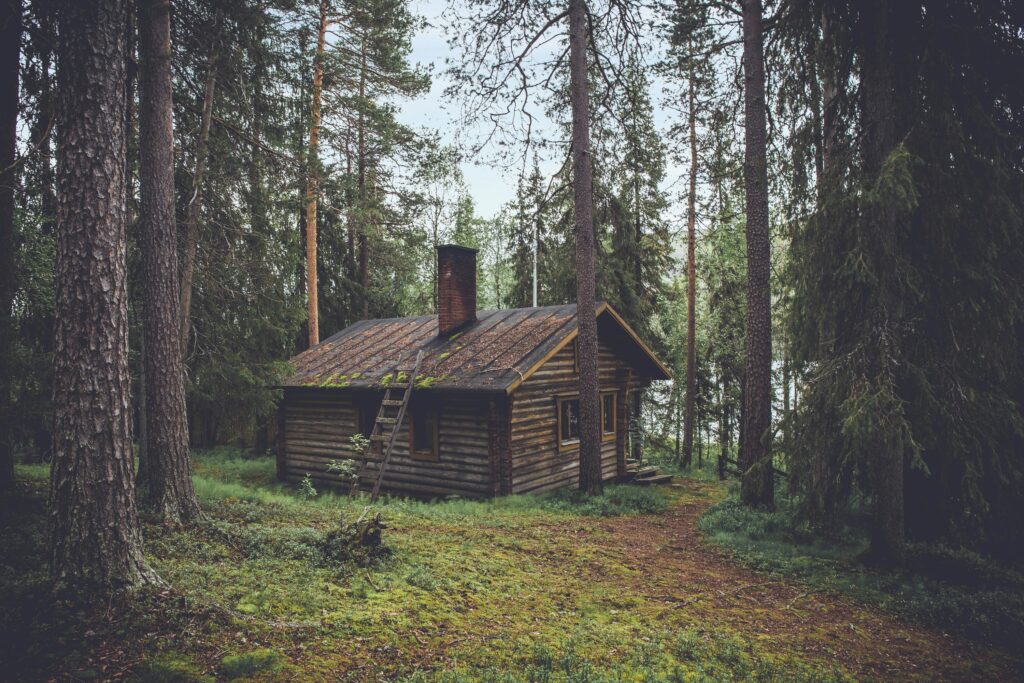 small wood stove Winter forest cabin heated