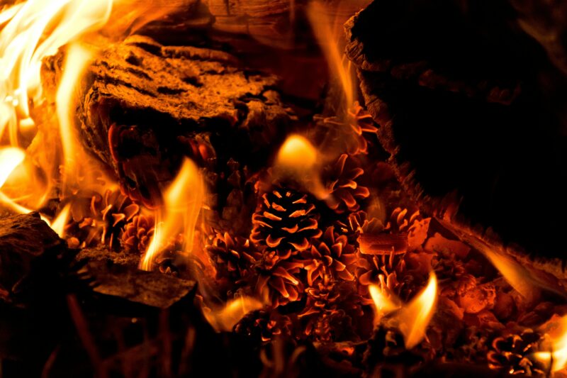 Burning Pine in a Fireplace: Everything You Need to Know