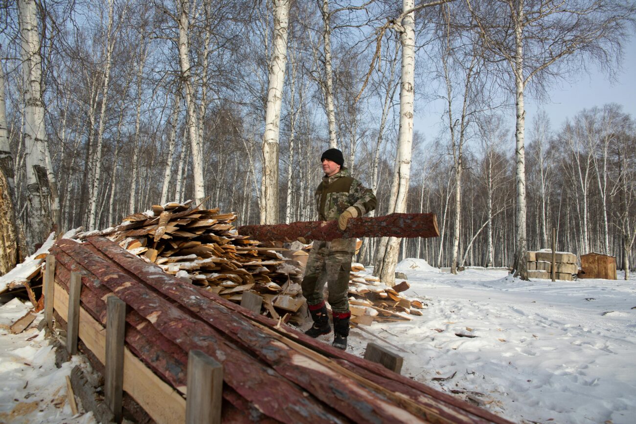 Can You Legally Collect Firewood in the UK