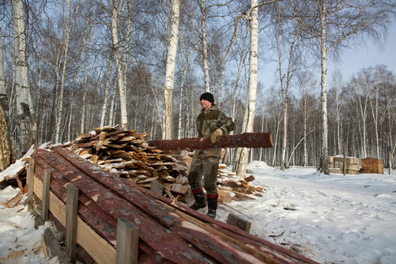 Can You Legally Collect Firewood in the UK?