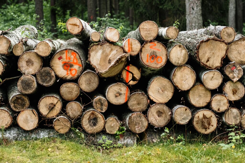 Firewood in the UK