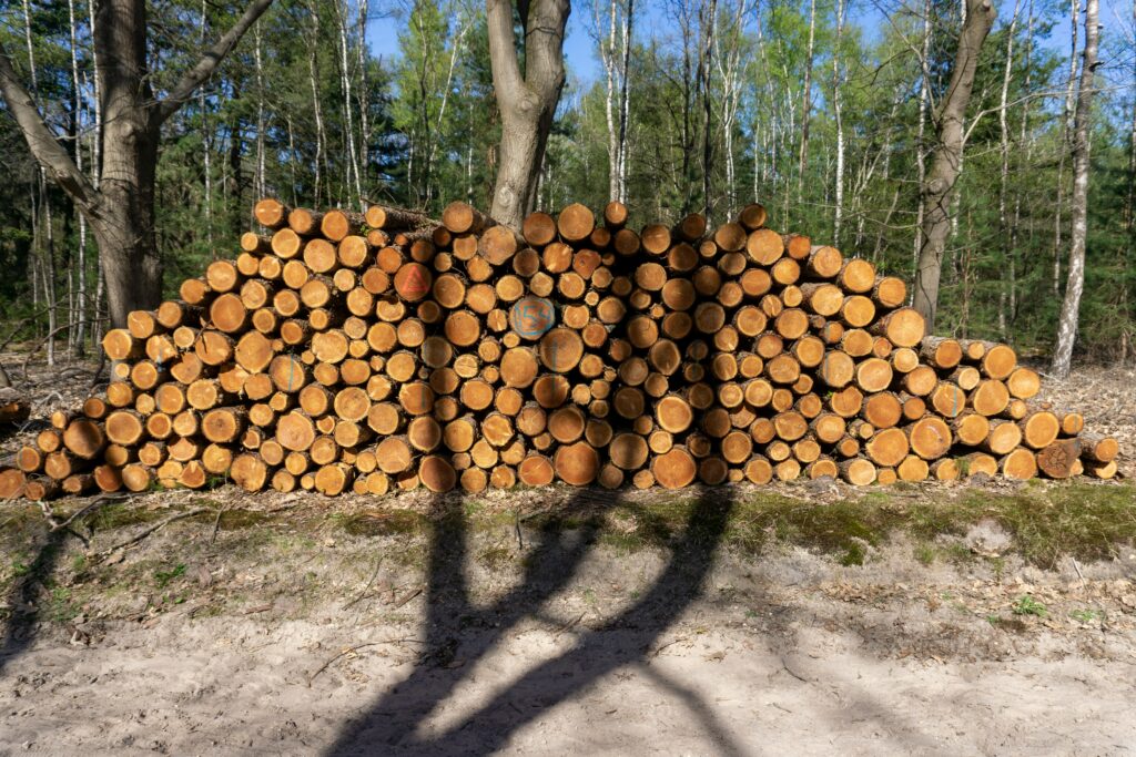 Rick of Wood